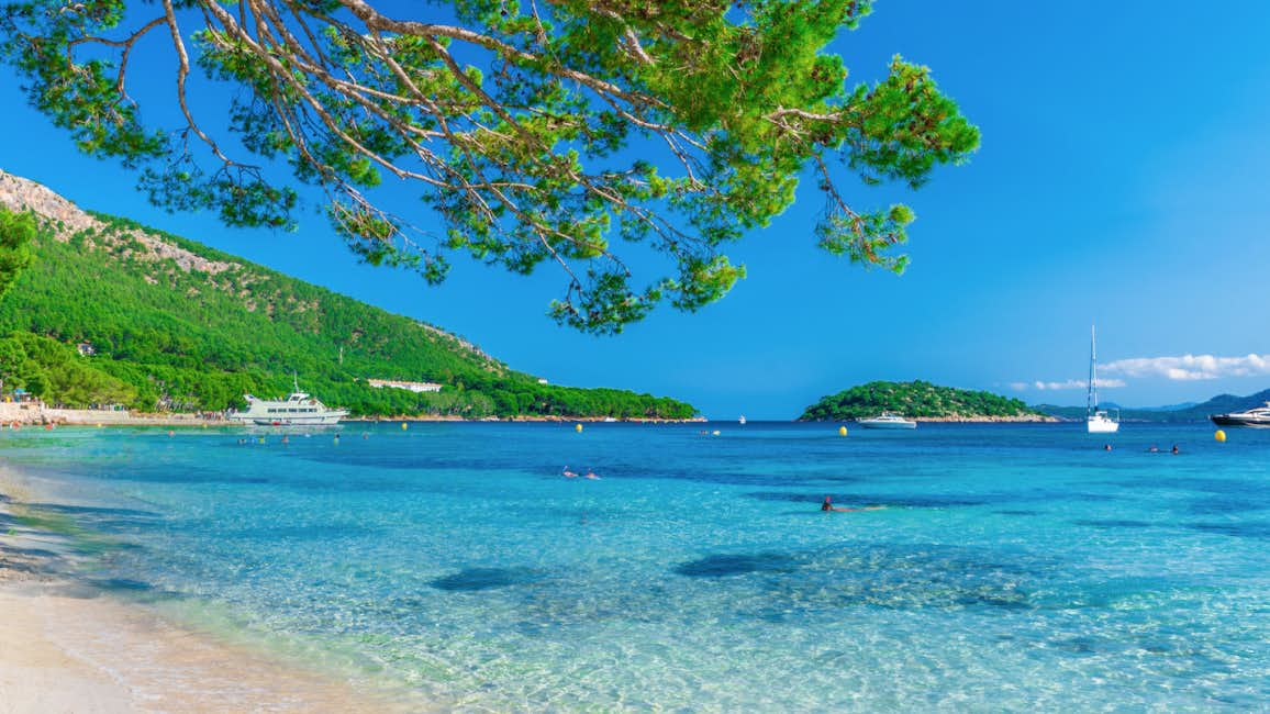 A stunning beach view featuring the azure sea, lush green trees, and island flora on a radiant day during the Superyacht Cup Palma.