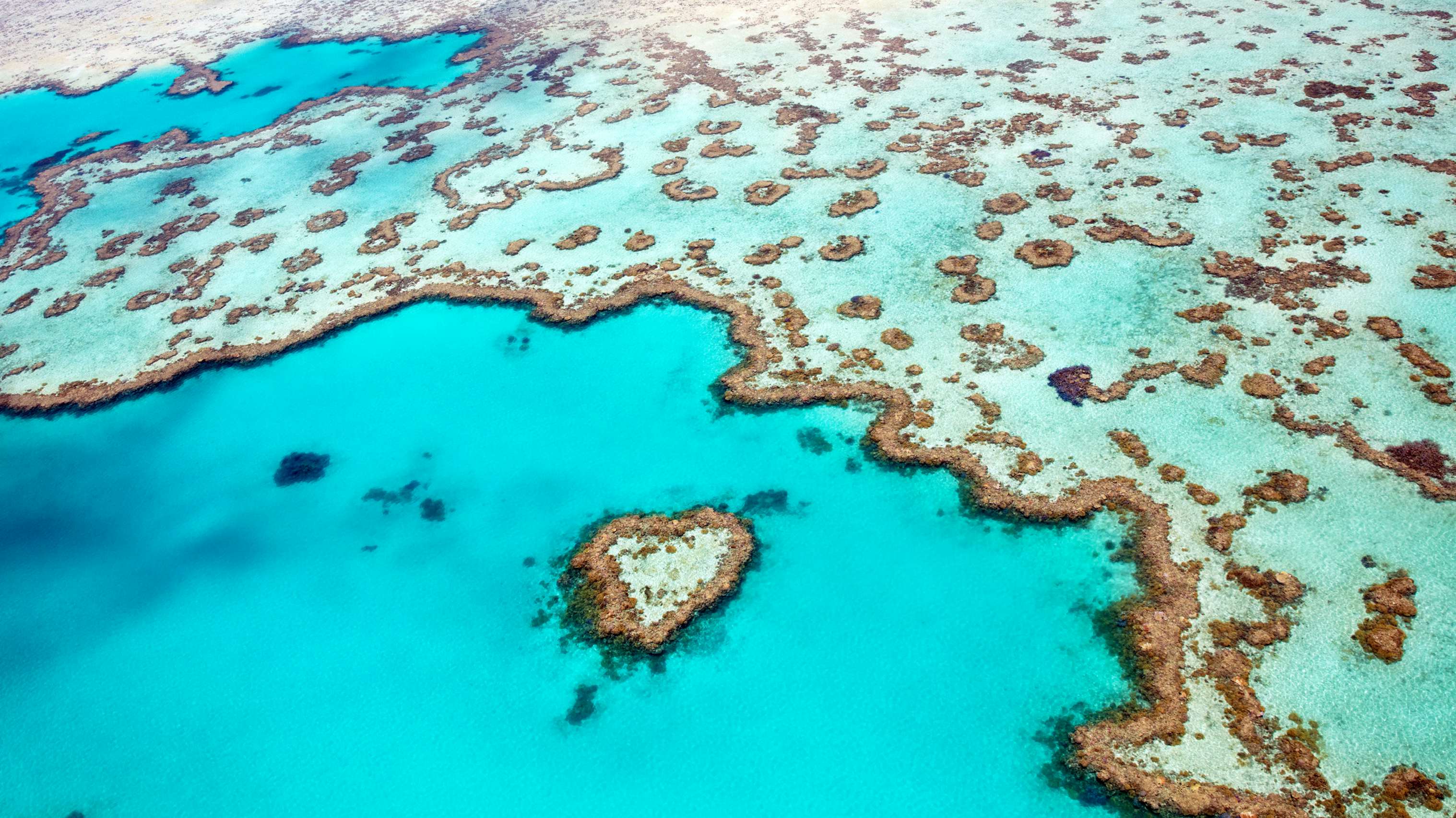 Aerial view of the Great Barrier Reef with a naturally heart-shaped coral formation.