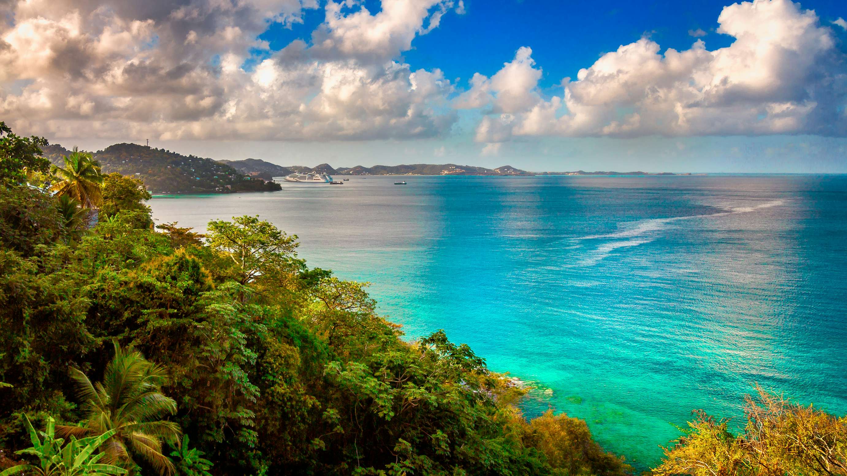 A breathtaking view from a hill in the Caribbean Windward Islands, featuring lush greenery and, in the distance, the vast expanse of the deep blue sea—a perfect moment on your Yacht Charter Itinerary.