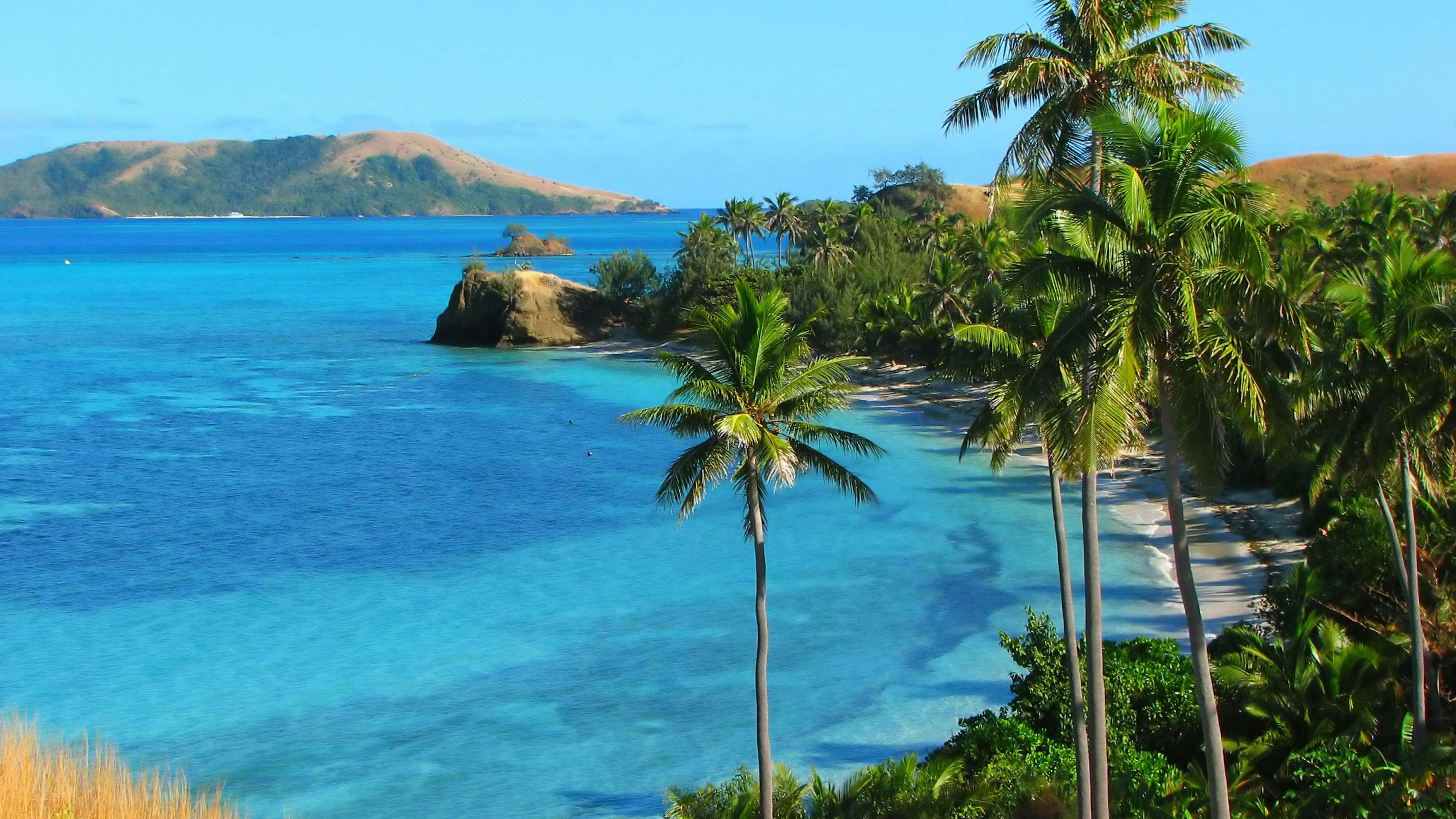 Tropical coastline with palm trees overlooking the clear blue waters of Fiji.